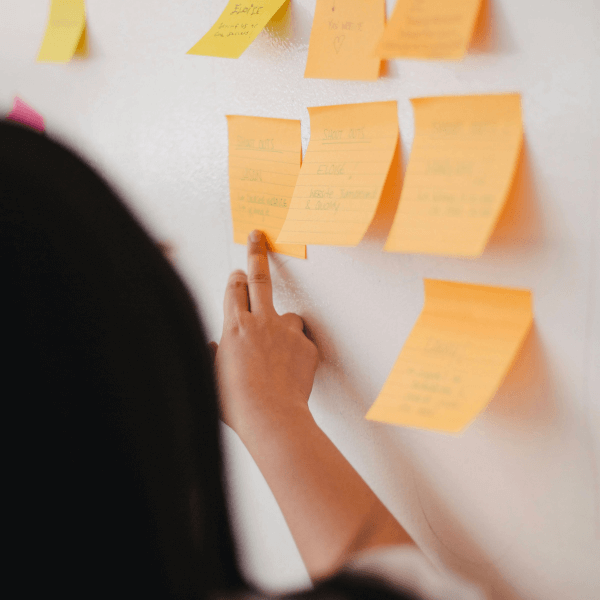 Neve Marketing Agency 14